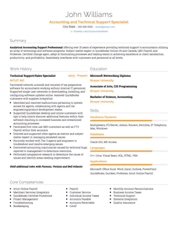 信息技术 Resume Sample and Template