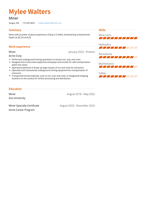 Miner Resume Sample and Template