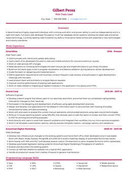 Web Team Leader Resume Sample and Template
