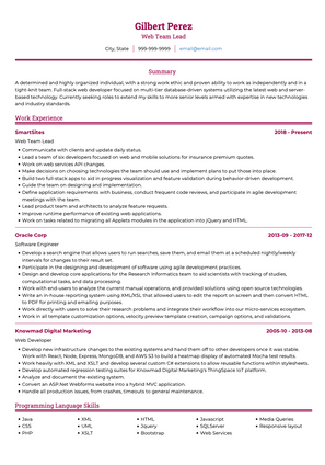 Web Team Leader CV Example and Template