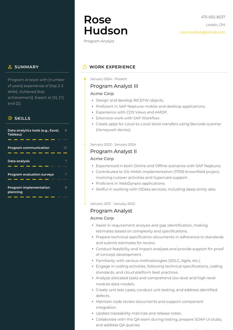 Program Analyst Resume Sample and Template