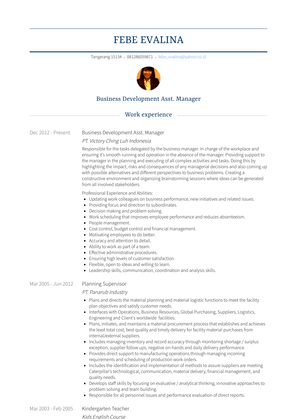 Business Development Asst. Manager Resume Sample and Template