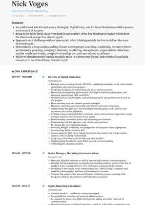 Director of Digital Marketing Resume Sample and Template