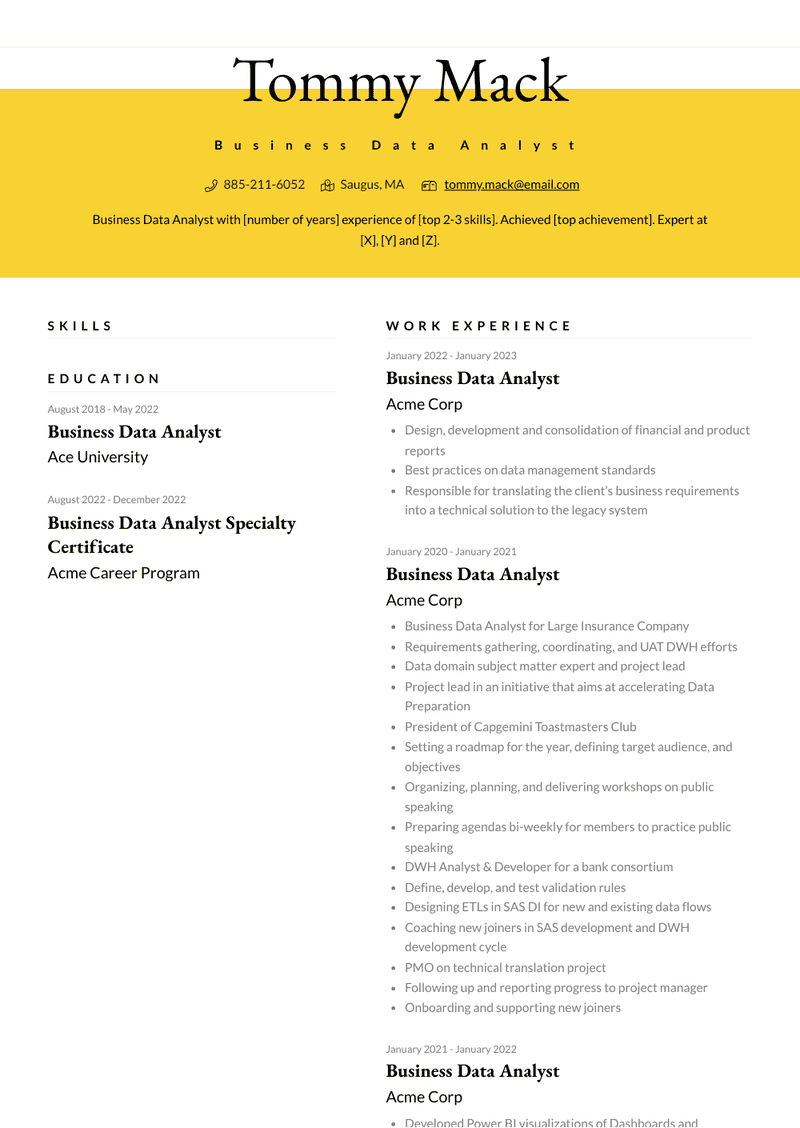 Business Data Analyst Resume Sample and Template
