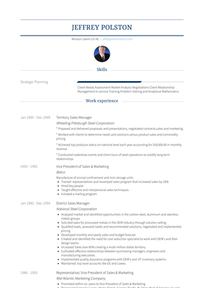 Territory Sales Manager Resume Sample and Template