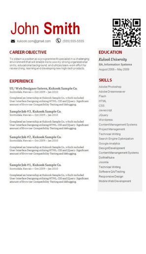 Web Developer CV Example and Template