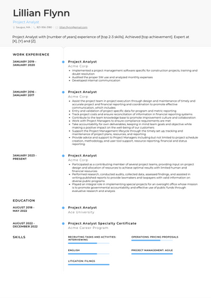 Project Analyst Resume Sample and Template