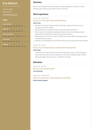 Senior Vice President Sales Resume Sample and Template