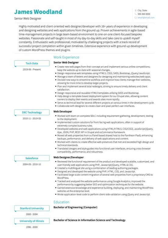 web design resume skills