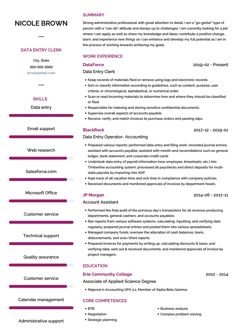 Data Entry Clerk CV Example and Template