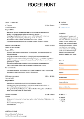 IT Executive Resume Sample and Template