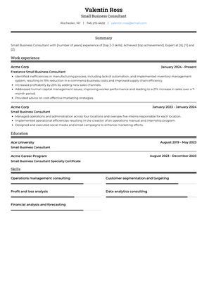 Small Business Consultant Resume Sample and Template