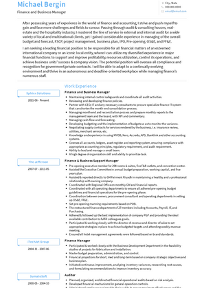 Finance and Business Manager Resume Sample and Template