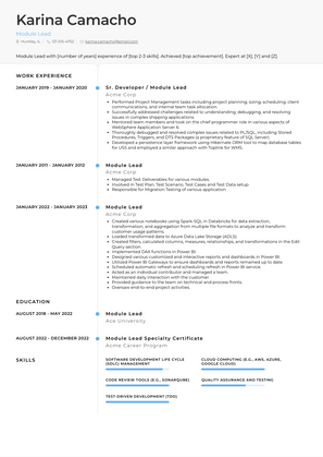 Module Lead Resume Sample and Template