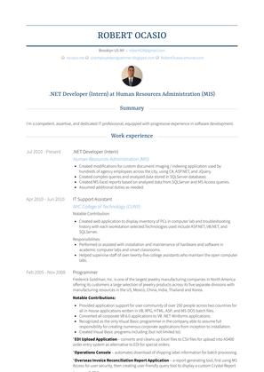 .Net Developer (Intern) Resume Sample and Template