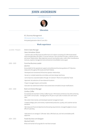 District Sales Manager Resume Sample and Template