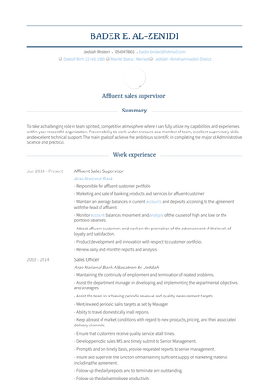 Sales Officer Resume Sample and Template