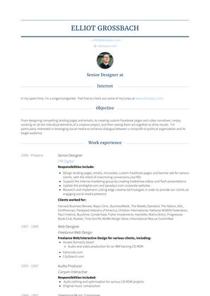 Senior Designer Resume Sample and Template