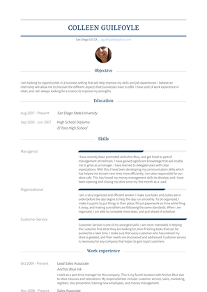 Lead Sales Associate Resume Sample and Template