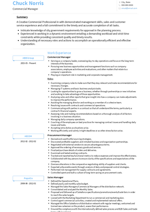 Commercial Manager Resume Sample and Template