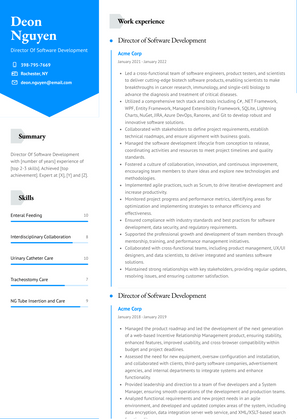 Director Of Software Development Resume Sample and Template