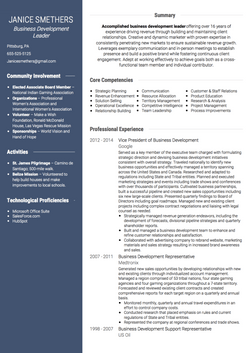 Business Development Leader CV Example and Template