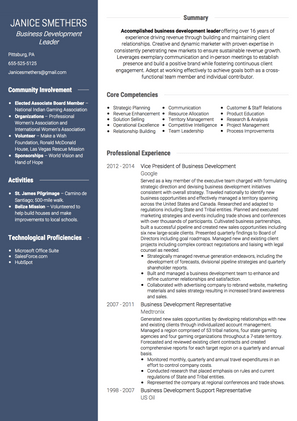 Business Development Leader CV Example and Template