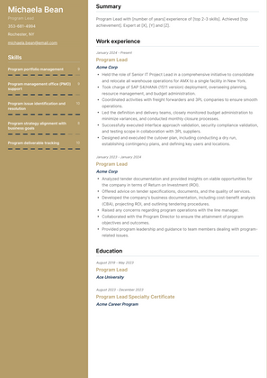 Program Lead Resume Sample and Template