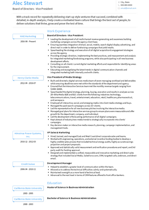 Board of Directors - Vice President Resume Sample and Template