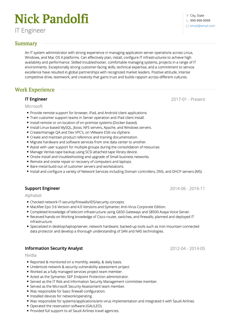 itengineer-cv-example-standard