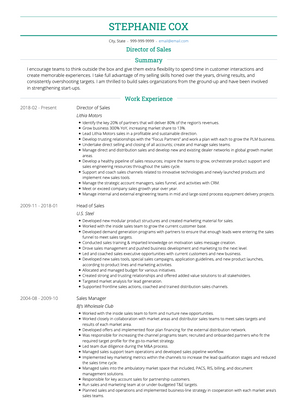 Sales Director CV Example and Template