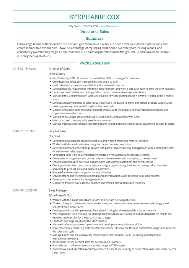 Sales Director CV Examples & Templates | VisualCV