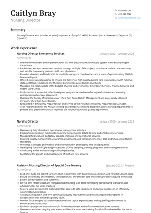 Nursing Director Resume Sample and Template