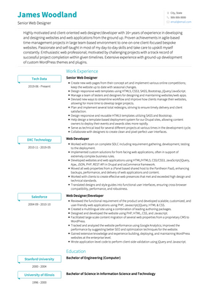 Senior Web Designer CV Example and Template