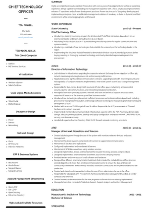 Director of Information Technology Resume Sample and Template