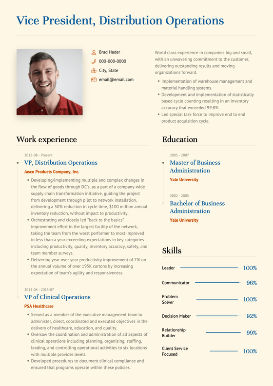 Bravo CV Template and Example by VisualCV