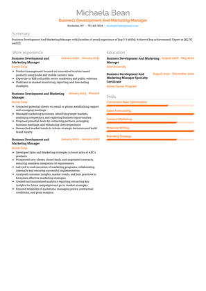 Business Development And Marketing Manager Resume Sample and Template