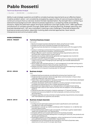 Technical Business Analyst CV Example and Template