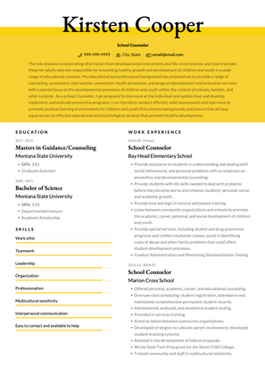 Counselor CV Example and Template