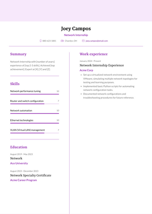 Network Internship Resume Sample and Template