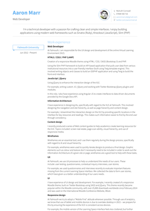 Web Developer Resume Sample and Template