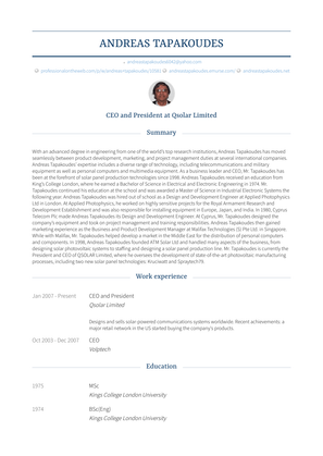 Ceo And President Resume Sample and Template