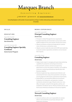 Consulting Engineer Resume Sample and Template