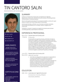 Administrador del sitio Resume Sample and Template