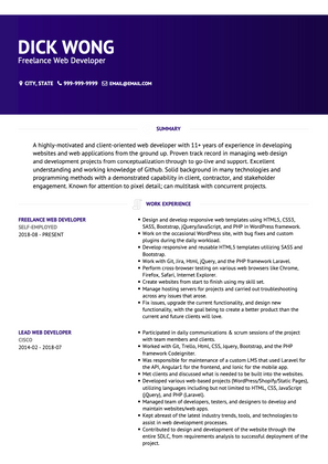 Freelance Web Developer CV Example and Template