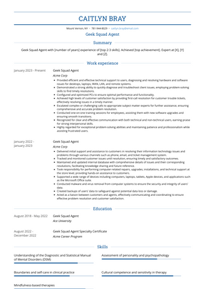 Geek Squad Agent Resume Sample and Template