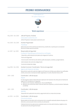 Analista Programador Resume Sample and Template