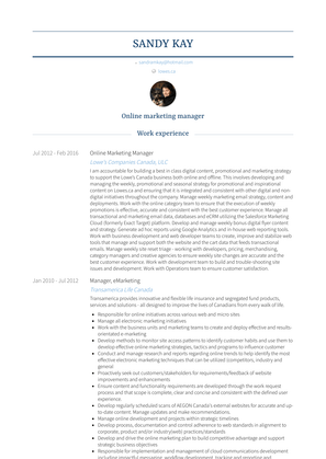 Online Marketing Manager Resume Sample and Template