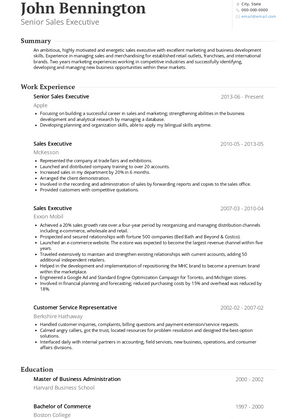 Senior Sales Executive Resume Sample and Template