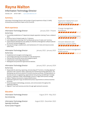 Information Technology Director Resume Sample and Template